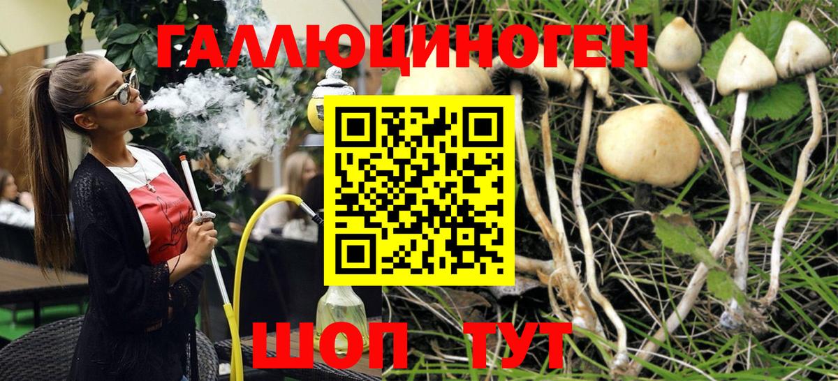 Псилоцибиновые грибы прущие грибы Тимашёвск